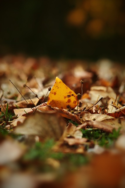 与消费者情 与消费者情