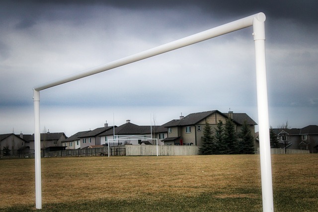 且纪律性强 且纪律性强