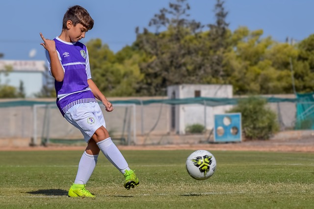 阿努诺比的 阿努诺比的