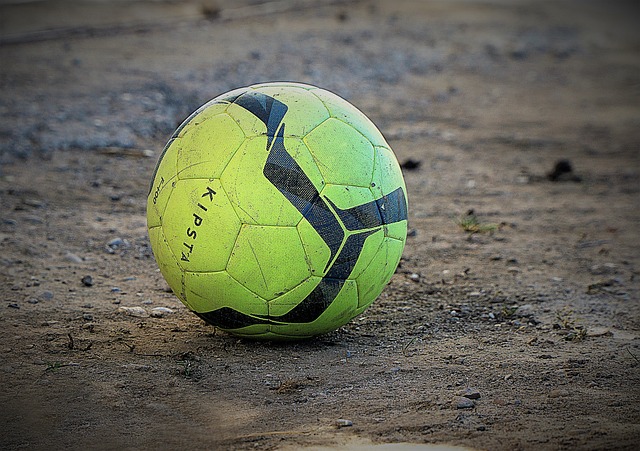 力球员的轮 力球员的轮