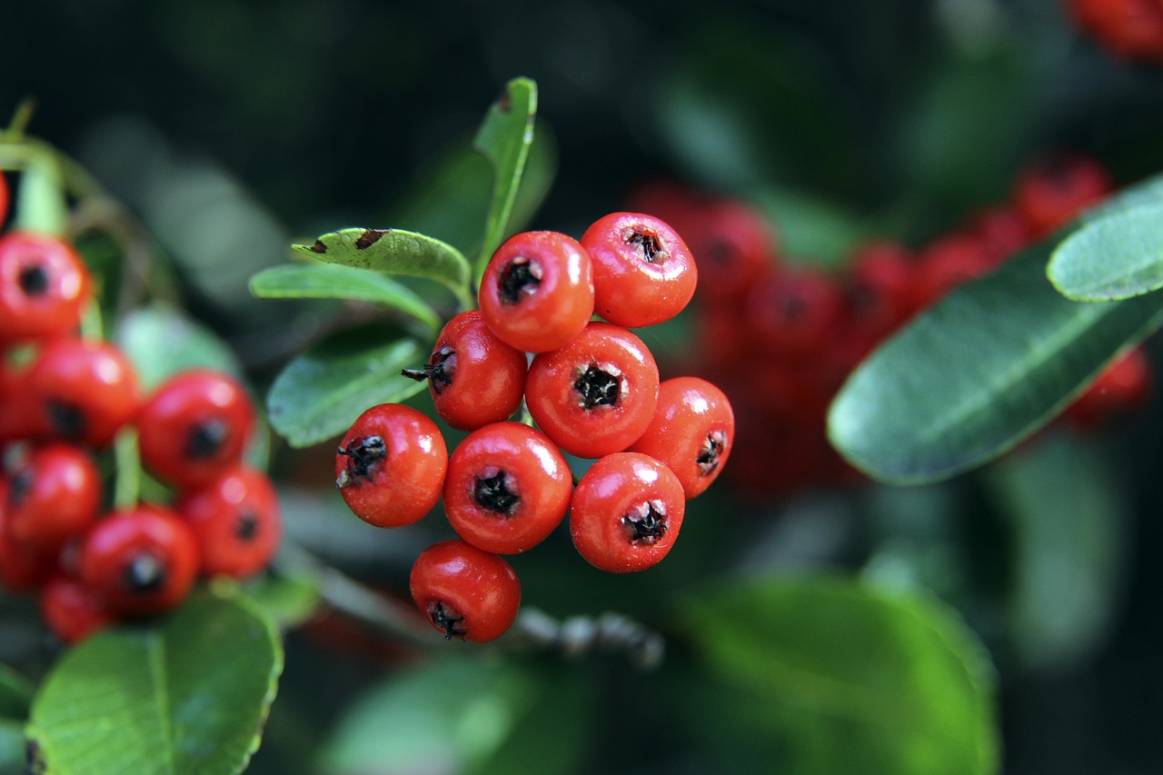 足的案例尽 足的案例尽