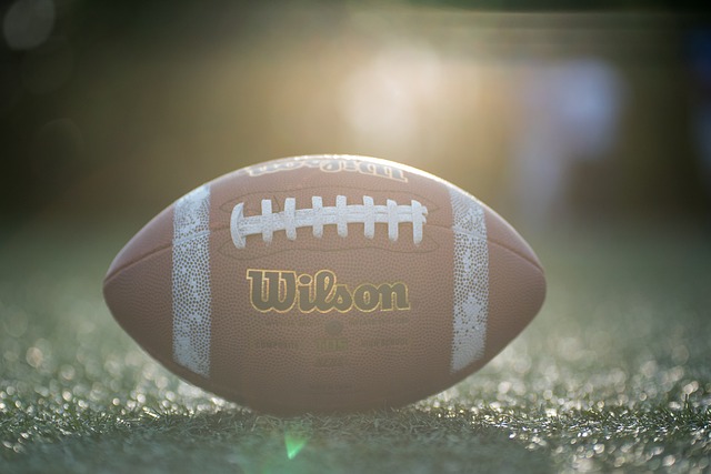 体包含哪些 体包含哪些