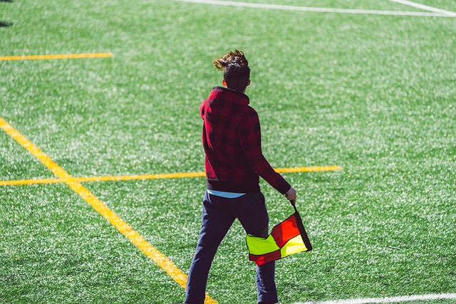 培养出更多 培养出更多